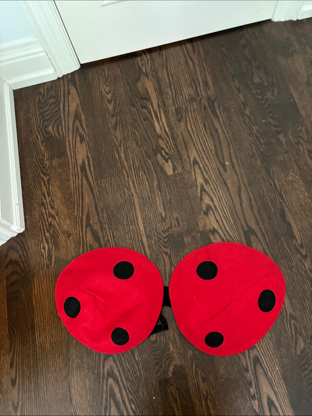 Red Ladybug Costume Wings - Fun Kids Accessory